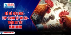 Đá Gà Cựa Dao - Top 1 Sinh Tử Với 50+ Trận So Tài Mãn Nhãn